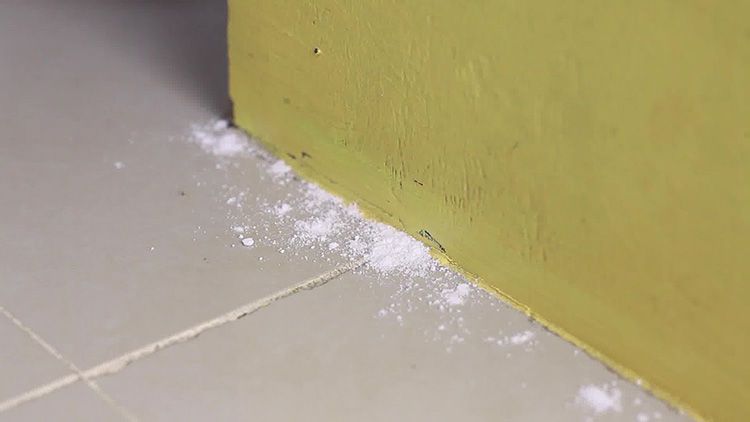 Як знищити мурашок в будинку з їх допомогою, можна прочитати в інструкції, що додається до засобу: Noguest, Bros, Delisia