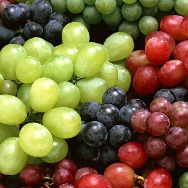 Корисні властивості олії виноградних кісточок